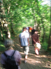 Image description